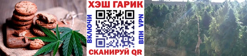 Cannafood конопля  Купить где  Йошкар-Ола 