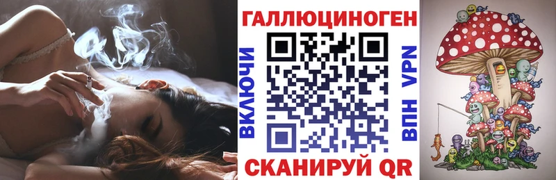 Купить где  Йошкар-Ола  Псилоцибиновые грибы мицелий 